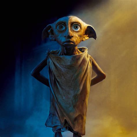 the house elf